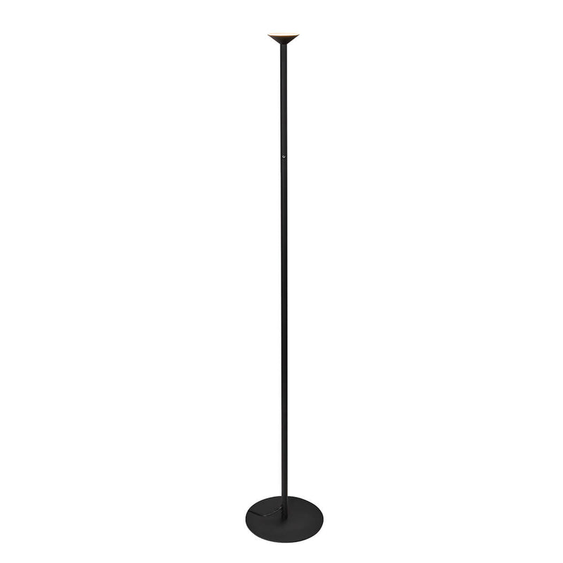 Valor D4" X H78-1/8" Floor Lamps
