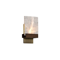 Fortis LED Wall Sconce with P1 Driver