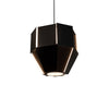 Astrum 17 LED Pendant with P1 Driver