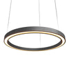 Frame 27.56"D Accord Lighting LED Strip Pendant 1433LED
