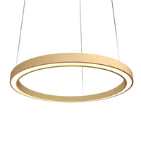 Frame 27.56"D Accord Lighting LED Strip Pendant 1433LED