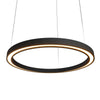 Frame 27.56"D Accord Lighting LED Strip Pendant 1433LED