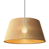 Living Hinges Accord 11.81H Pendant 1488