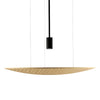 Harmony Accord 60 Hz Pendant 1521