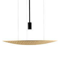Harmony Accord 60 Hz Pendant 1521