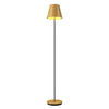 Conical Accord 110V - 220V Floor Lamp 3053