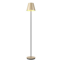 Conical Accord 110V - 220V Floor Lamp 3053