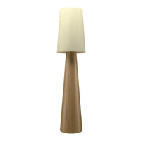 Conical Accord 63"H  Floor Lamp 3062