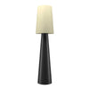 Conical Accord 63"H  Floor Lamp 3062