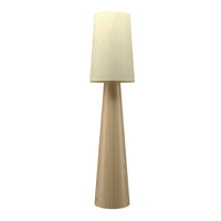 Conical Accord 63"H  Floor Lamp 3062