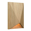 Facet Accord Carbon Steel Wall Lamp 4219