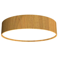 Cylindrical 15" LED Ceiling Mounted Lamp 529LED