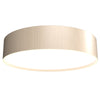 Cylindrical 15" LED Ceiling Mounted Lamp 529LED