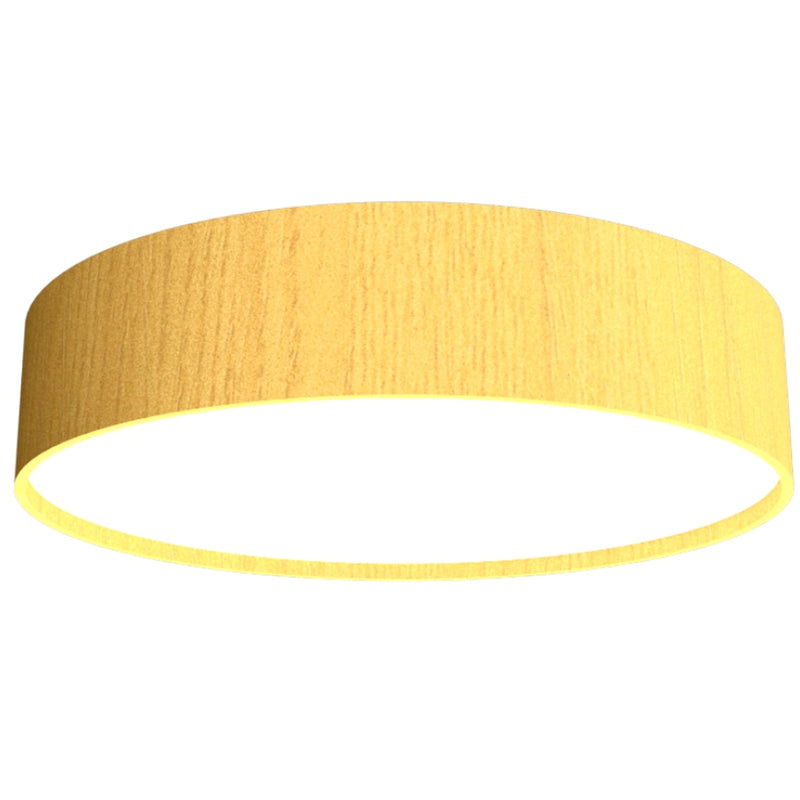 Cylindrical 15" LED Ceiling Mounted Lamp 529LED