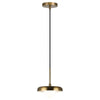 Creston Ceiling Light Pendants