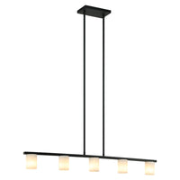 Indy 5 x 10W LED Ceiling Light Chandelier