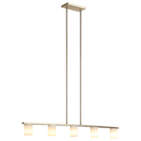 Indy 5 x 10W LED Ceiling Light Chandelier