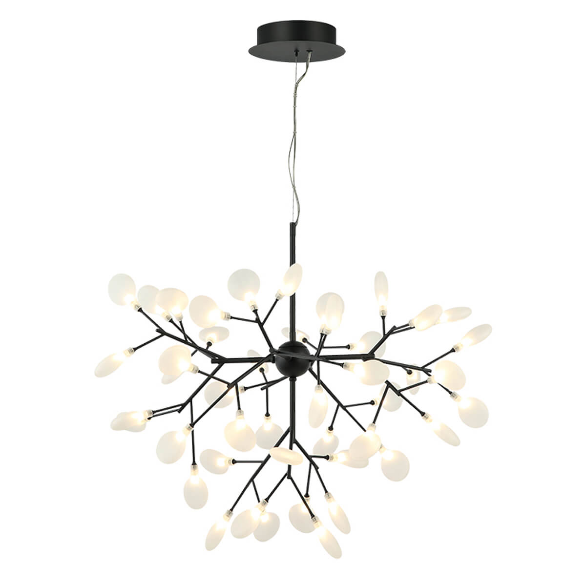 lemohoney03　1207 Hydrangea Bloom 35