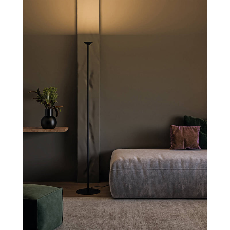 Valor D4" X H78-1/8" Floor Lamps