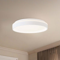 Beanie 16-in Flush Mount