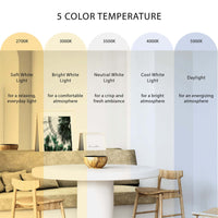 Beanie 20-in Flush Mount
