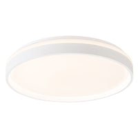 Beanie 20-in Flush Mount