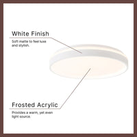 Beanie 20-in Flush Mount