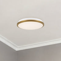 Brook Flush Mount