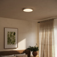 Brook 15-in Flush Mount