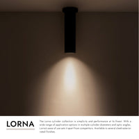 Lorna 12-in (3-in Dia.) Ceiling Mount