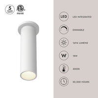 Lorna 12-in (3-in Dia.) Ceiling Mount