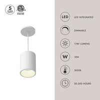 Lorna 6-in (4-in Dia.) Pendant