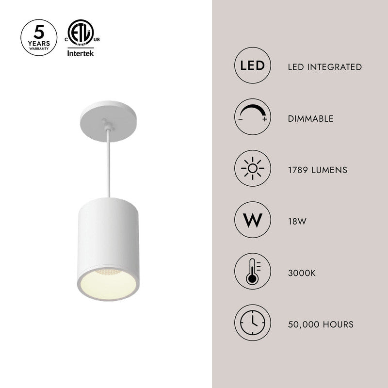 Lorna 6-in (4-in Dia.) Pendant