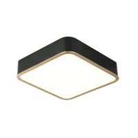 Ainslay 12"L Ceiling Light Flush Mounts