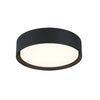 Ezra 3"H Ceiling Light Flush Mounts