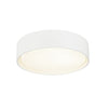 Ezra 3"H Ceiling Light Flush Mounts