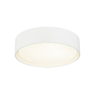 Ezra 3"H Ceiling Light Flush Mounts