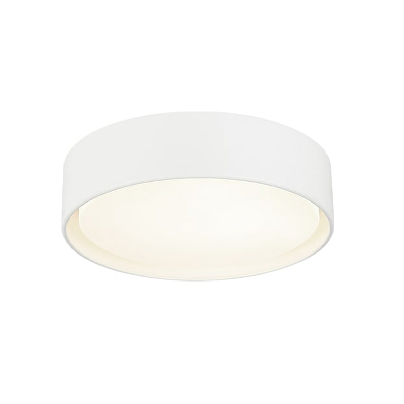 Ezra 3"H Ceiling Light Flush Mounts