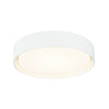 Ezra 3 1/4"H Ceiling Light Flush Mounts