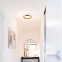 Caravon Ceiling Light Flush Mounts