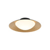 Caravon Ceiling Light Flush Mounts