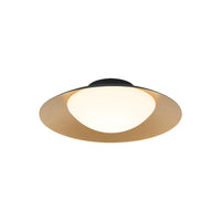 Caravon Ceiling Light Flush Mounts