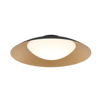 Caravon Ceiling Light Flush Mounts