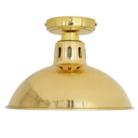 Talise Ceiling Light