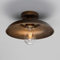 Darya Ceiling Light