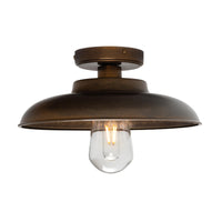 Darya Ceiling Light