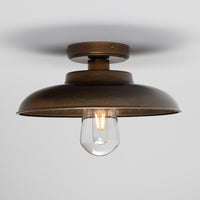 Darya Ceiling Light