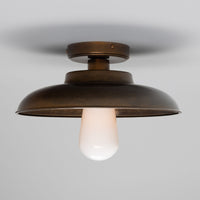 Darya Ceiling Light