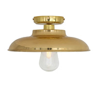 Darya Ceiling Light