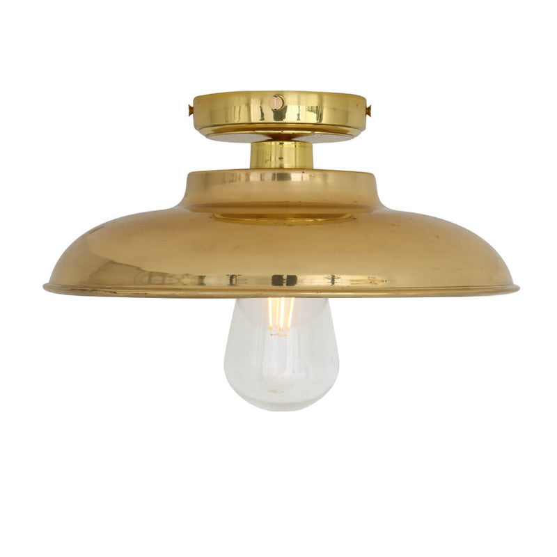 Darya Ceiling Light